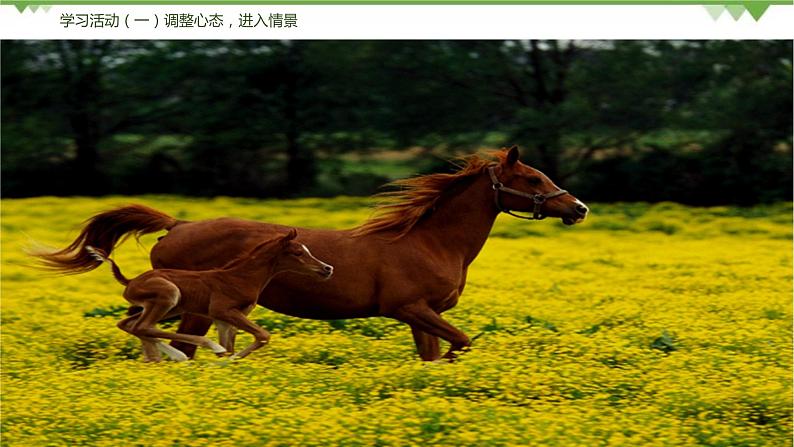 23《马说》（课件+思维导图+音视频素材）-2020-2021学年八年级语文下册 同步课件(部编版)06