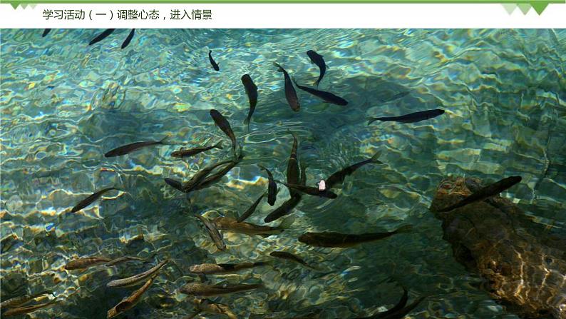 10《小石潭记》（课件+思维导图+音视频素材）-2020-2021学年八年级语文下册 同步课件(部编版)07