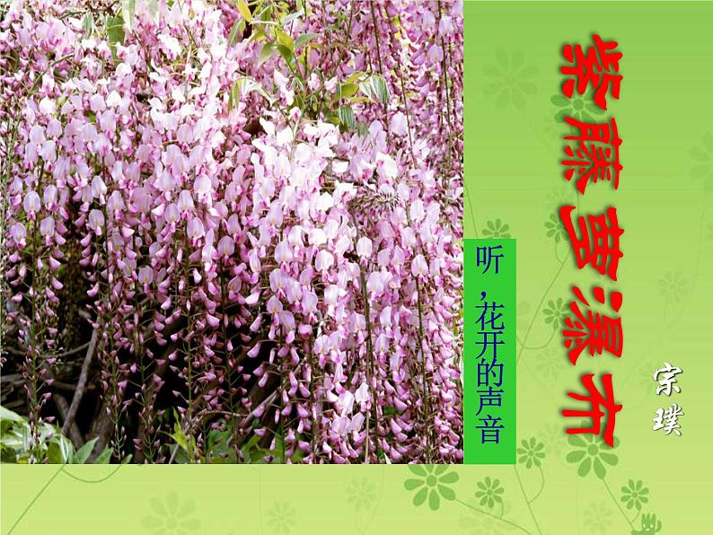 紫藤萝瀑布优质课件第1页