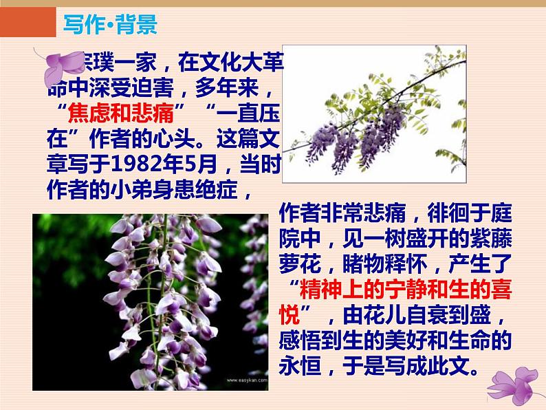 第17课 紫藤萝瀑布 课件08