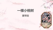 初中语文人教部编版七年级下册19*一棵小桃树图文课件ppt