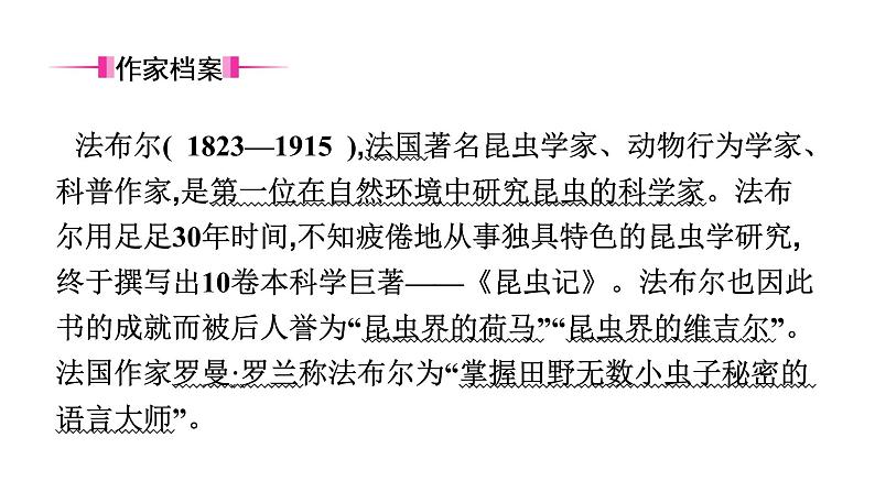 六、《昆虫记》　科普作品的阅读 课件02