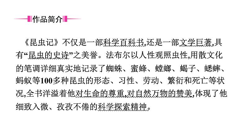 六、《昆虫记》　科普作品的阅读 课件03