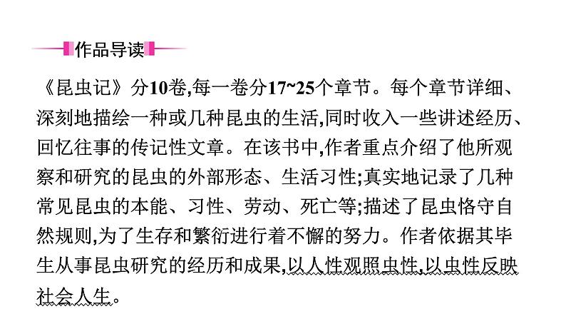 六、《昆虫记》　科普作品的阅读 课件04