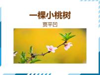 人教部编版七年级下册第五单元19*一棵小桃树评课ppt课件