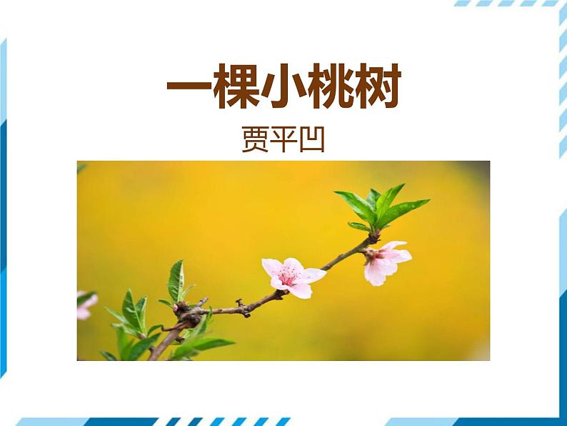 部编版七年级下册语文第5单元《18 一棵小桃树》课件（共23张PPT）已改01