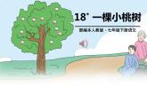 最新18-一棵小桃树(七下) 课件