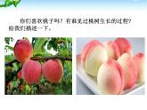 最新18-一棵小桃树(七下) 课件