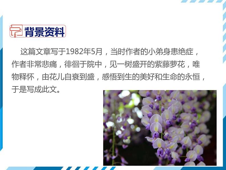 部编版七年级下册语文第5单元《17 紫藤萝瀑布》课件（共31张PPT）已改第5页