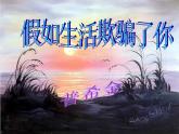 假如生活欺骗了你2 课件