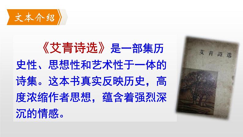 2020－2021学年部编版语文九年级上册第一单元 名著导读：《艾青诗选》课件（共50张PPT）08