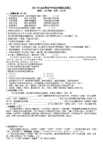 2021年山东省枣庄市中考语文模拟试题三（word版 含答案）