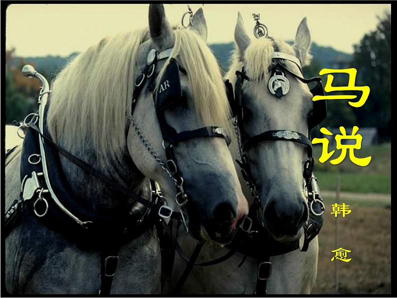 部编版语文八年级下册第23课《马说》课件（共21张PPT）第1页