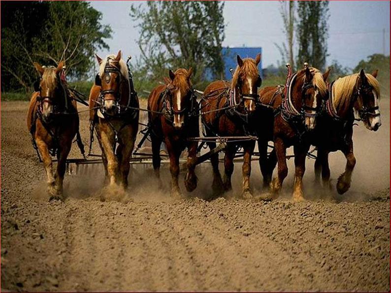 部编版语文八年级下册第23课《马说》课件（共21张PPT）第2页