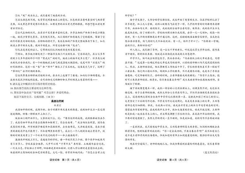 2020年山东省菏泽中考语文试卷附真卷答案解析02