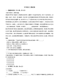 河南省2021年实验中学中考语文三模试卷附答案