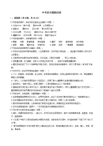 山东省日照市2021年中考语文模拟试卷附答案