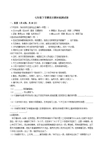 山东省武城县七年级下学期语文期末检测试卷