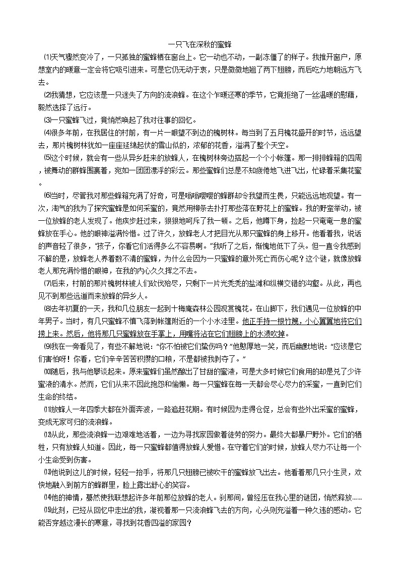 天津市滨海新区八年级下学期语文期末试卷03