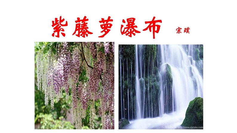 部编版语文七年级下册第18课《紫藤萝瀑布 》课件（共25张PPT）第1页