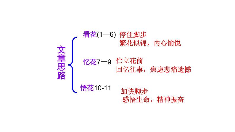 部编版语文七年级下册第18课《紫藤萝瀑布 》课件（共25张PPT）第8页