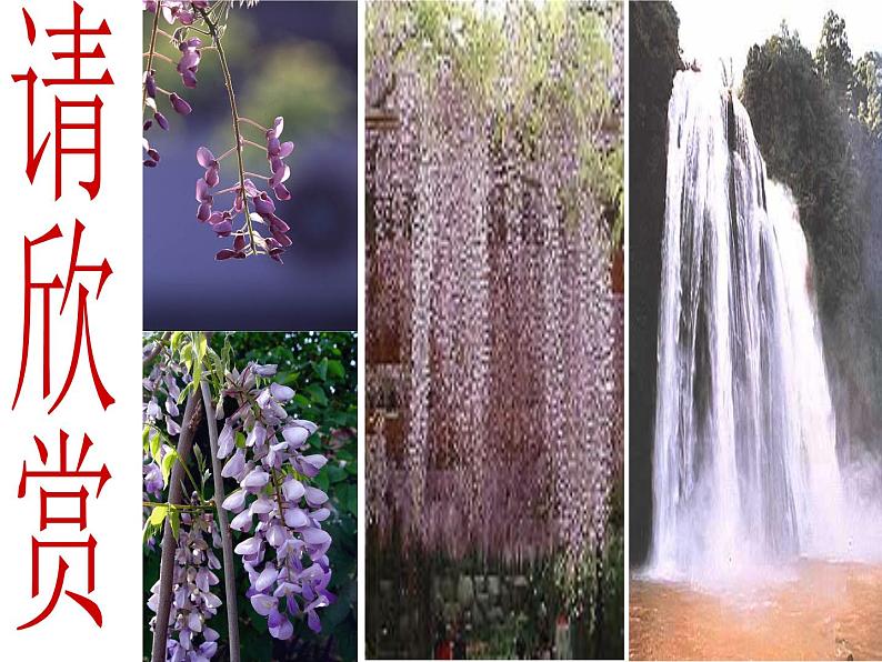 部编版语文七年级下册第18课《紫藤萝瀑布》课件（共25张PPT）第2页