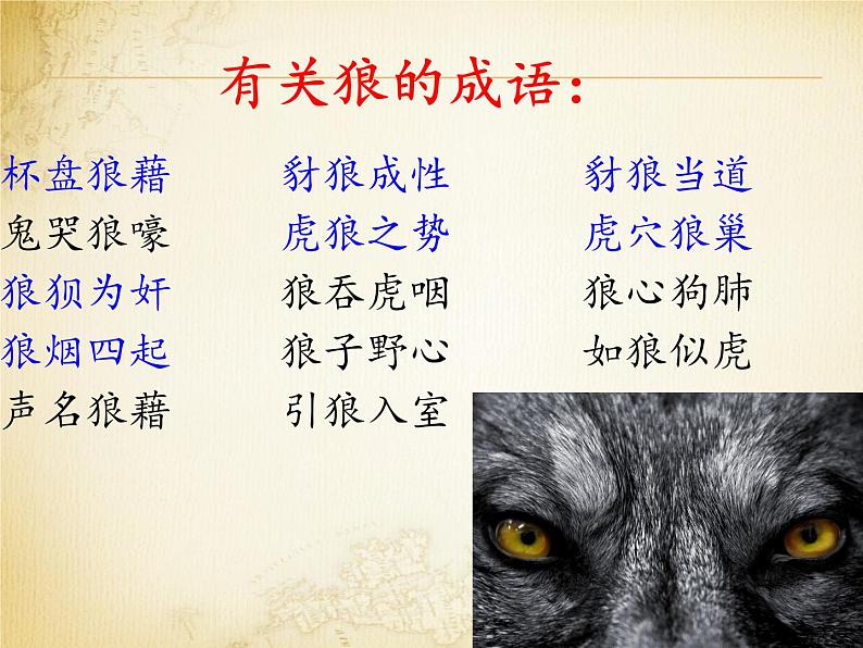 《狼》（ppt课件+教案+视频资料）03