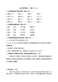 语文自修提高（初中篇）  (13)