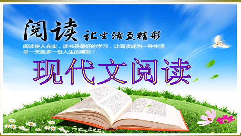 4中考语文现代文阅读一文多考记叙文《父亲的眼神》（104张）第1页