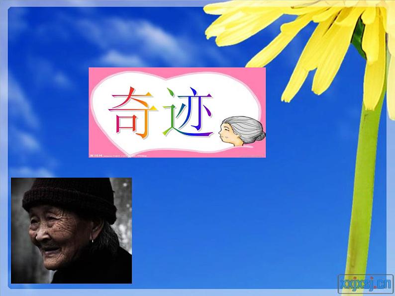 7中考语文现代文阅读一文多考记叙文《奇迹》（74张）第3页