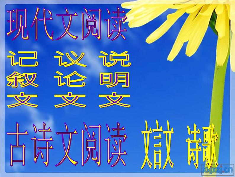 1现代文阅读——记叙文（七美元的梦） 简版 课件02