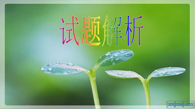 13中考语文现代文阅读一文多考记叙文《花儿，已悄然绽放》 课件01