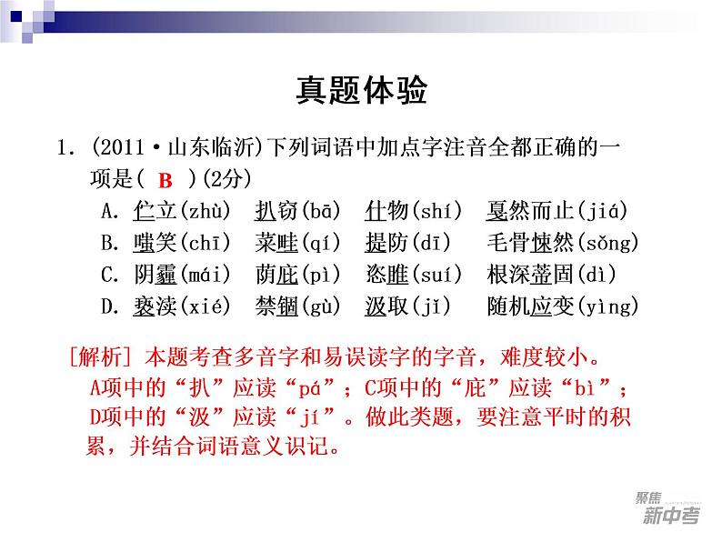 中考语文专题训练1-1004