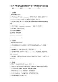 2021年广东省阳江市阳东区九年级下学期模拟联考语文试题（word版 含答案）