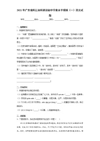 2021年广东省阳江市阳西县初中学业水平模拟（一）语文试题（word版 含答案）
