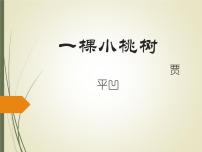 语文七年级下册19*一棵小桃树课前预习课件ppt