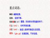 2020-2021学年部编版语文七年级下册第20课《未选择的路》课件（共17张PPT）