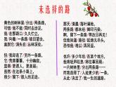 2020-2021学年部编版语文七年级下册第20课《未选择的路》课件（共17张PPT）