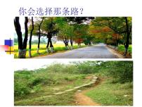 人教部编版七年级下册未选择的路教课ppt课件