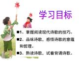 2020—2021学年部编版语文七年级下册第20课《外国诗二首——未选择的路》课件（共19张PPT）