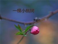 初中语文人教部编版七年级下册19*一棵小桃树集体备课ppt课件