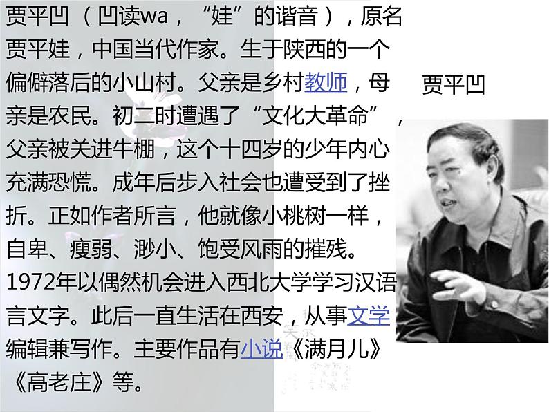 2020—2021学年部编版语文七年级下册第19课《一棵小桃树》课件（共30张PPT）第2页