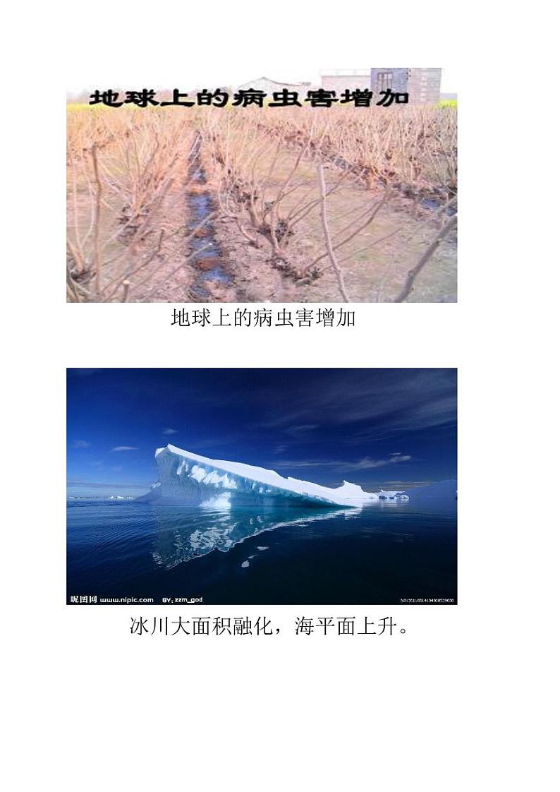 《倡导低碳生活》公开课一等奖教案02