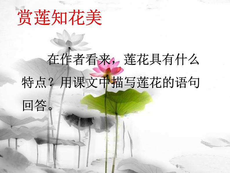 部编版语文七年级下册17《  爱莲说》课件（21张PPT）05