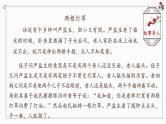 2021年中考语文二轮专题复习：名著导读《儒林外史》复习课件（共73张PPT）