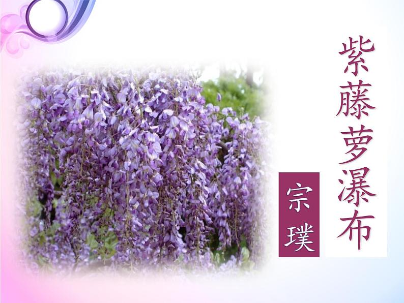 部编版语文七年级下册第18课《紫藤萝瀑布》课件（共22张PPT）第1页