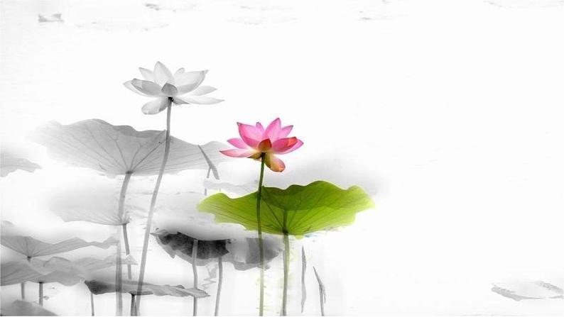 部编版人教版七年级语文下册短文《爱莲说》教学课件精品PPT初一优秀课堂课件02