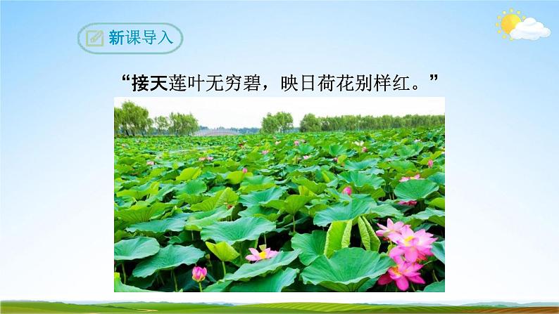 部编版人教版七年级语文下册短文《爱莲说》教学课件精品PPT初一优秀课堂课件03