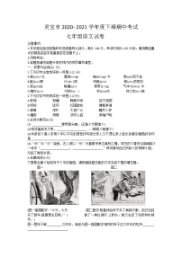 河南省灵宝市2020-2021学年七年级下学期期中考试语文试题（word版）