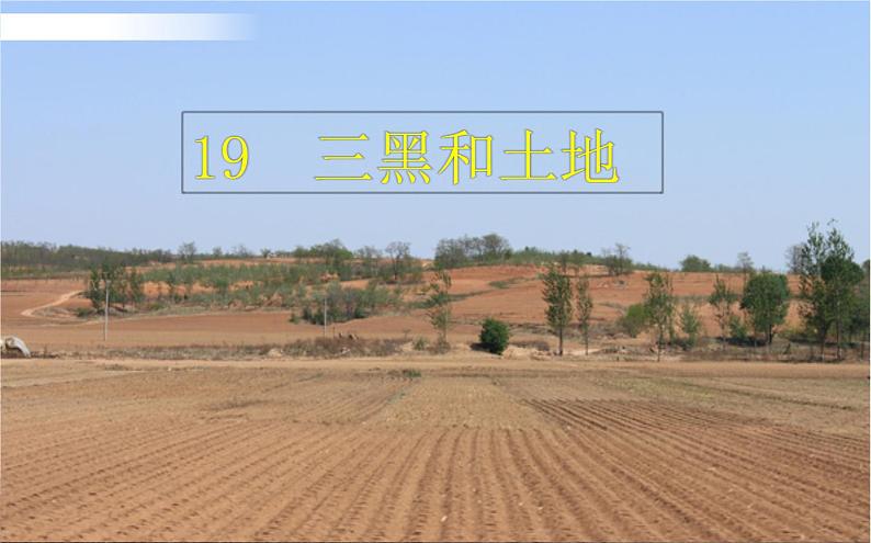 三黑和土地PPT课件免费下载01